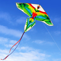 Multi-style delivery wheel Yongjian kite Weifang large-scale high-end adult special beginner children breeze easy to fly