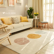 Living room ins carpet Bedroom girl Nordic shorthair bedside blanket Cloakroom coffee table blanket Household sofa floor mat