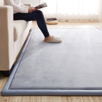 Thickened Living Room Tea Table Sofa Bed edge ultra-thick tatami mat special thick section Sleeping Cushion Subbedroom Carpet