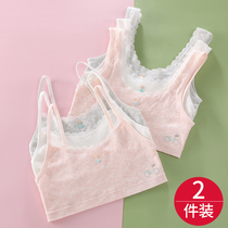 Youth Development girl girl bra children anti-bump vest female primary school girl girl junior high school student underwear