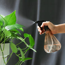 Home home spray kettle watering flower spray bottle small alcohol disinfection hand-press sprinkler small spray pot