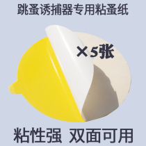 5 round sticky flea board flea trap lamp special sticky paper sticky flea physical removal of flea powder