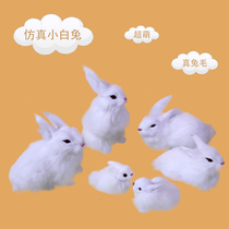 Emulated rabbit model Mao suede toy swing piece Chinese zodiac paparazzi Little white rabbit fake rabbit doll photo-prop