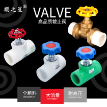 Boutique thickened large flow lifting ppr globe valve water stop valve Copper spool ppr water pipe valve 4 points 20 25