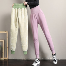 Winter new high waisted velvet sweatpants womens lamb velvet loose thickened warm wear casual small foot pants women