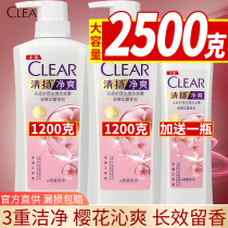 Qingyang Cherry Blossom Shampoo Dew Men and Women Debris Lasting Long-lasting Incense 1000ml Flagship Store Official Flagship