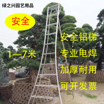 Luohansong shape greening multi-functional three-legged ladder Five-step ladder Safety ladder Garden triangle ladder Thick aluminum alloy ladder