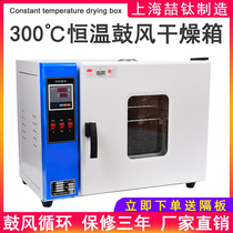 Electric constant temperature blast drying oven industrial oven incubator high temperature oven aging laboratory dryer