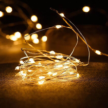 Birthday party decoration copper wire lamp led string lamp battery small bulb creative wedding atmosphere Gypsophila room