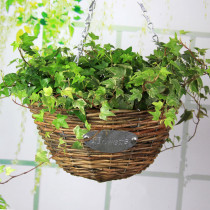 Orchid flower pot flower basket hanging Rattan woven flower pot hanging pot hanging adhesive hook rattan basket hanging flower pot