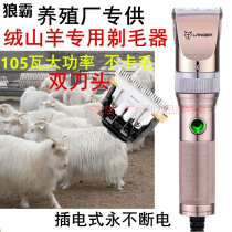  High-power 105 watt velvet goat long-haired rabbit pet shearing fox shaving device Large pet dog cat electric