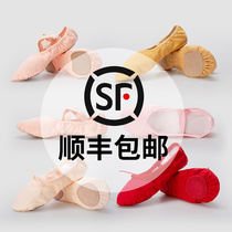 Childrens dance shoes womens soft bottom elastic cloth show instep Adult art examination cat paw young and young free lace-up red ballet