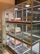 Cat cage breeding cage two or three domestic foster cage with partition toilet breeding cage cat house mother cage pigeon cage