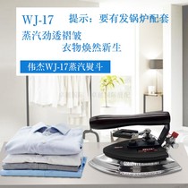 WJ-17 new Weijie iron Full steam iron Industrial clothing curtain dry cleaner special boiler iron