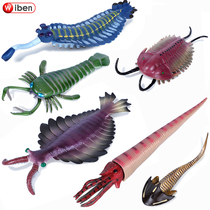 Simulation of ancient marine life plate foot horseshoe horseshoe trilobes toy shrimp model head turtle sea scorpion children male gift