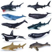 Simulation soft rubber marine animal world model blue whale hammerhead shark sea turtle childrens toy beluga whale Sea Leopard dolphin
