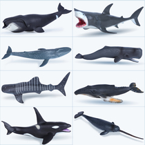 Simulation of Marine Life Shark Toy Whale Animal Model Bowhead Whale Blue Whale Great White Shark Children's Cognitive Gift