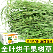  21-year-old new grass Dried fruit tree grass Gross weight 1KG Rabbit Chinchilla Dutch pig Hay forage forage Fruit tree grass