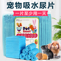 Rabbit Urine Mat Alice Eanie Urine Mat Rabbit Dragon Cat Guinea Pig Urine Sheet Suction Pee Paper Pee Sheet Pet Urine Sheet