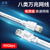 Wave steel cat8 eight types of 10 gigabit cable home broadband fiber dual shielding students with super seven types of e-sports high-speed