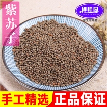 Perilla seed Chinese herbal medicine raw perilla seed oil oil Suzi seed pure large grilled seasoning filling 500g for sale of Evodia