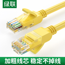 Green Union Super Class 5 network cable computer router 2 broadband 100 megabit Network 5 connection jumper 10 finished home 20 meters