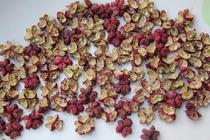 The self-planted Shaanxi Hancheng Super Dahongpao Zanthoxylum bungeanum New Zanthoxylum Granule Gift 500g