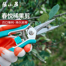 Zhang Xiaoquan pruning shears fruit tree horticultural Scissors pointed fruit picking and cutting bonsai Flower Branch repair cutting orchard fruit cutting