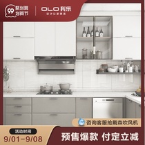 My music cabinet custom Loya European kitchen whole kitchen cabinet decoration quartz stone countertop stove cabinet Assembly