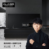 I Le Sato and co-famous preface Japanese light luxury kitchen kitchen cabinet whole cabinet custom Rock board countertop