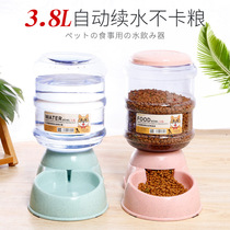 Cat dog automatic feeder kitten cat buffet bowl diet dog food feeding puppy cat bowl cat food basin small