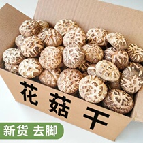 Xixia big flower mushroom 500g farm specialty cut foot shiitake mushroom dry goods winter mushroom mushroom bulk dried shiitake mushroom a catty