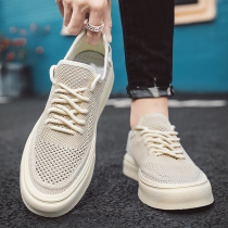 ITbuy pet shoes breathable knitted canvas shoes mens 2023 spring and summer new mens shoes lightweight casual sports shoes