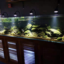 Blue water wind and LED fish tank spot light South America three lakes native water plant tank spot light led concentrated small landscaping aquarium