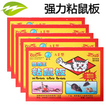 Powerful Sticky Rat plate Ghostbusters Big Mouse Stained With the Mouse Cage Trapeger Trap Gods Home One Wo End