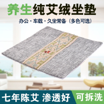 Eivet Cushion Agrass Hot Compress Bag Palace Chill Aiba Moxibustion Mat Children Office Hip Home Health Care Mat Health Care