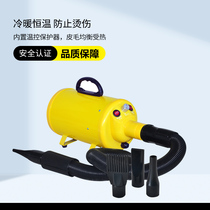 Shaidi dog hair dryer High-power pet water blower Household large dogs and cats special hair drying artifact