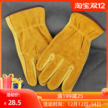 Outdoor first layer cowhide gloves non-slip wear-resistant cowhide gloves camping gloves mountaineering gloves