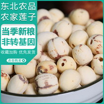Lotus heart dry goods 400g Xianglian unhearted white lotus seeds fresh lotus seeds remove the core skin white lotus seeds Hunan lotus seeds