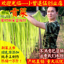 Special leaf - free dry dry dry dry dry dry food dry dry soil products are specially produced