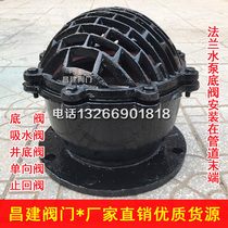 H42X Flanged cast iron bottom valve Water pump Check valve Check valve Shower head DN50 80 100 150 200