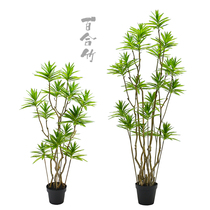 Simulation Lily bamboo short leaf bamboo banana dragon blood tree fake green plant potted indoor simple living room porch decoration