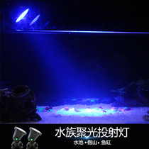 Crown fish tank spotlight aquarium lighting led waterproof fish tank light diving light colorful fish tank night light