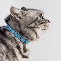 Yongyou cat safety buckle collar pink pink blue Japanese leather collar hand made light simple and easy to wear