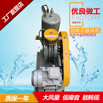 Low noise rotary blower industrial sewage treatment aeration aerator