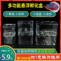 Peacock fish breeding box fish tank isolation incubator tropical fish small fish large small isolation box hatching spawning room