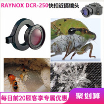 Japan Reynolds DCR250 HD professional jewelry antique identification Fuji macro close-up camera magnifying glass