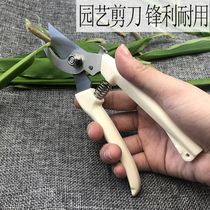 Pruning fruit tree pruning scissors Gardening garden pruning scissors Household powerful scissors artifact Flower scissors Pruning scissors