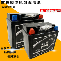  Guyue motorcycle battery 12v9a maintenance-free colloidal dry battery 125 curved beam 5A Scooter universal 7ah
