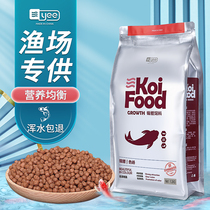 yee professional koi fish feed koi fish feed fish food spirulina color Yang bred into ornamental fish fish staple food